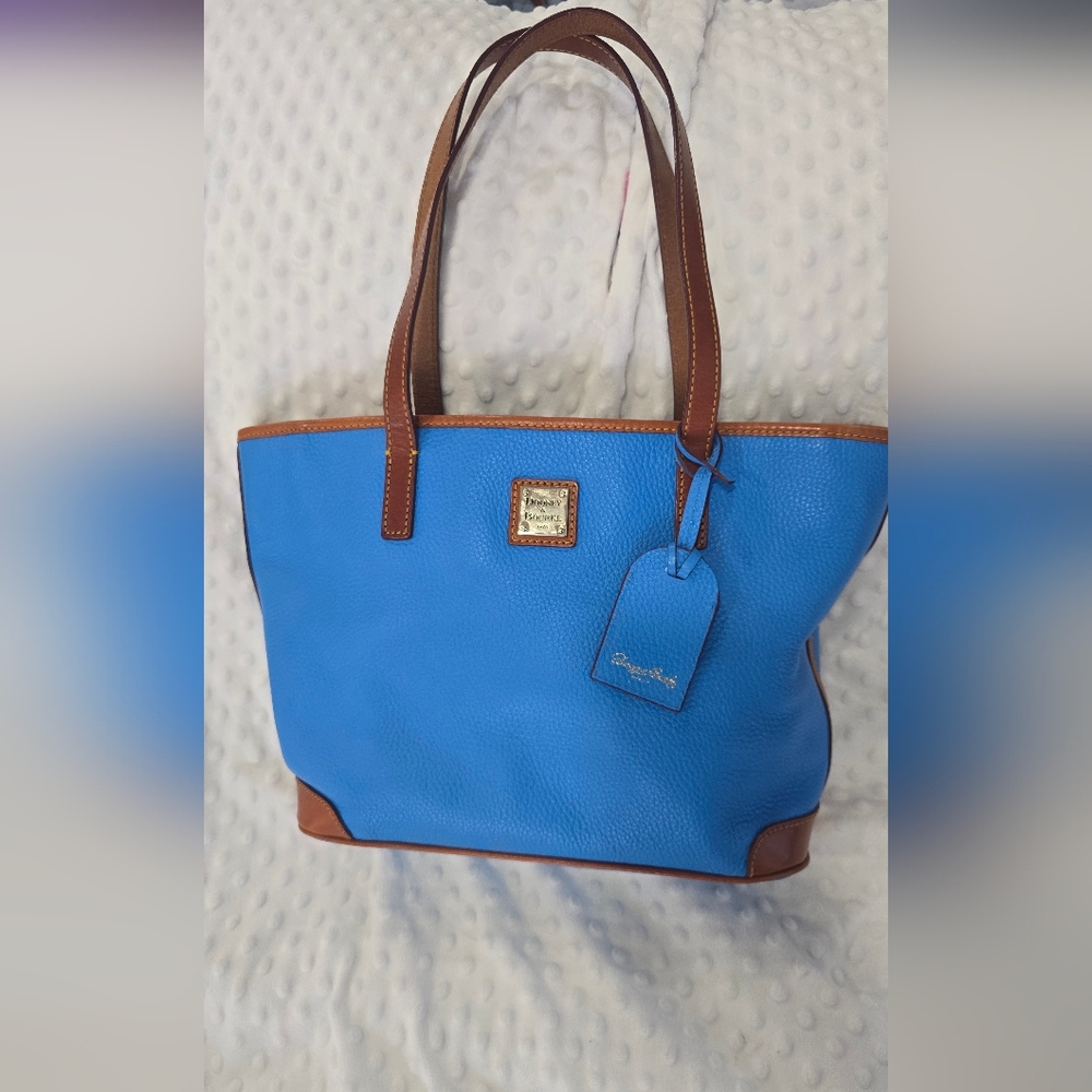 Dooney & Bourke Blue Tote with Brown Trim